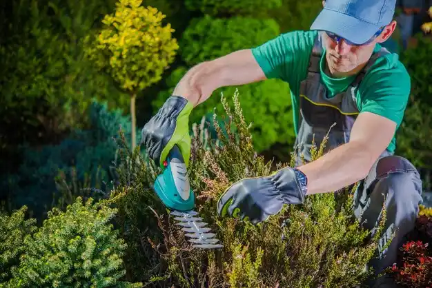 landscaping services Mattawan